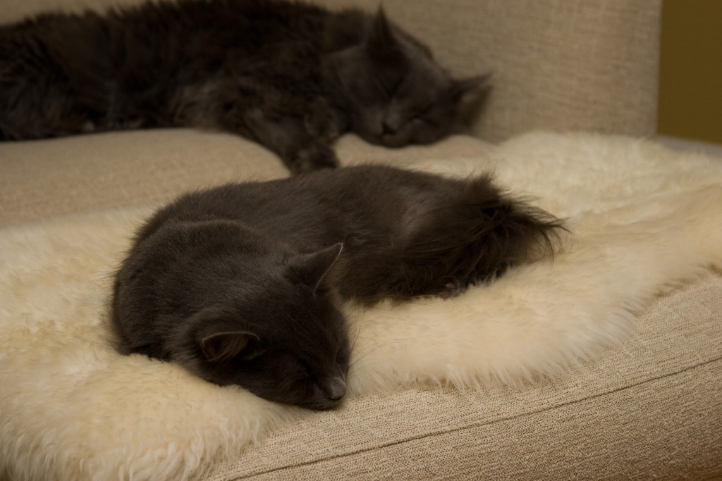 2008-10_AllThree_009