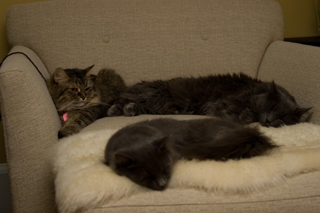 2008-10_AllThree_010