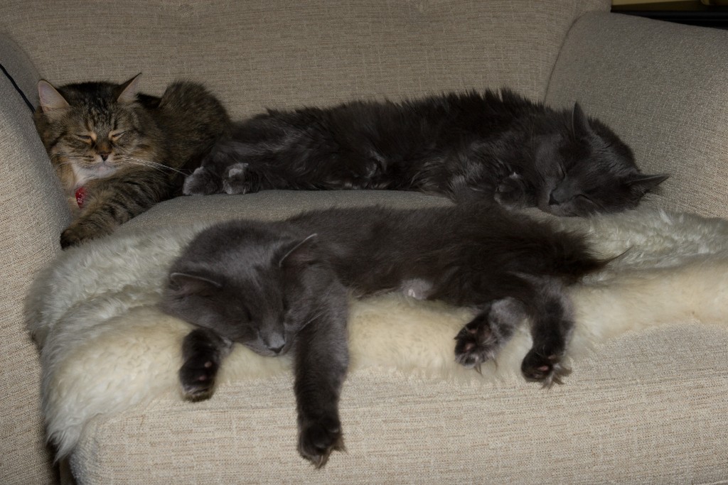 2008-10_AllThree_020