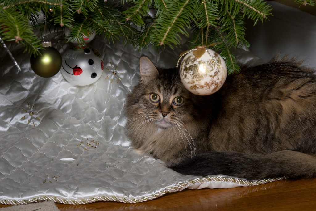2008-12_XmasCard_004