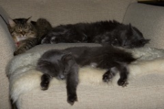 2008-10_AllThree_020