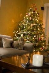 2008-12_XmasCard_209
