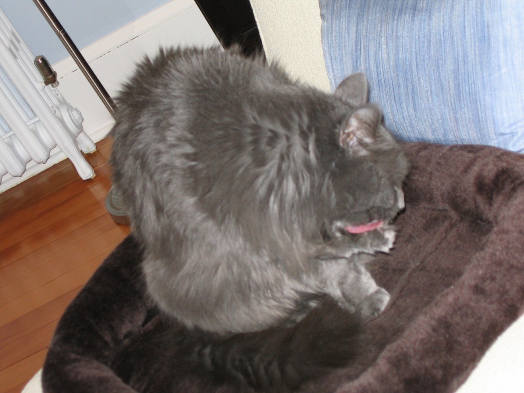 2010-03_JaxBedroom_009