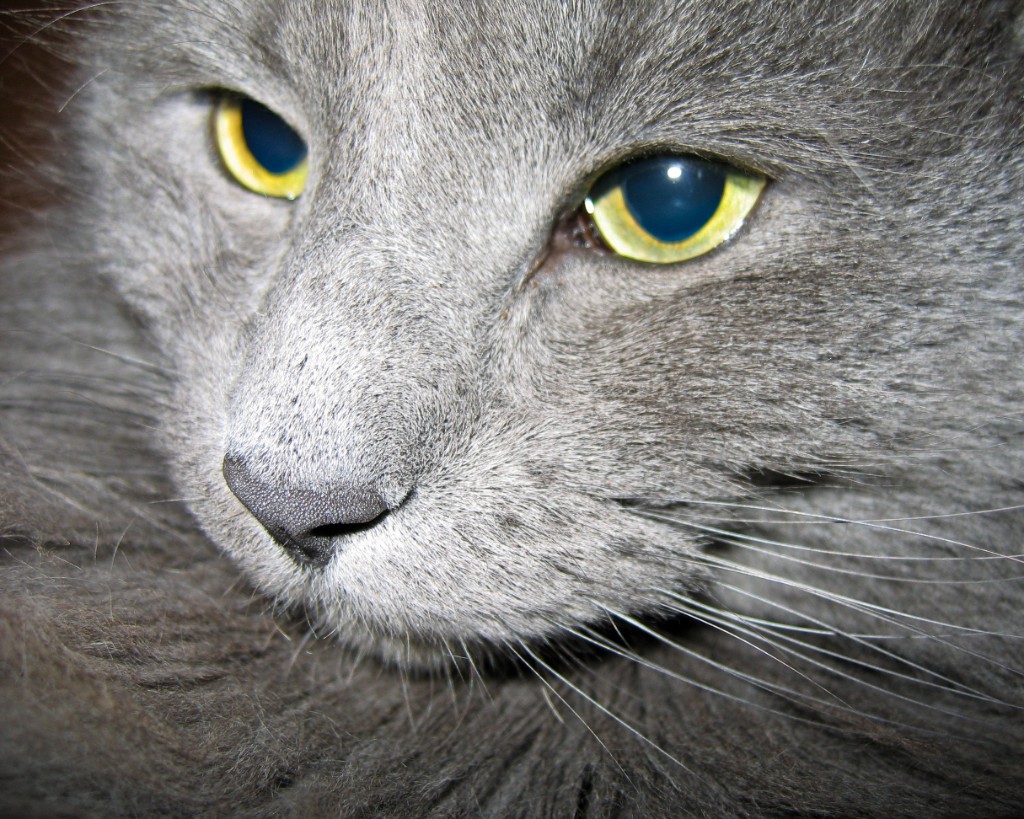 2010-03_JaxBedroom_017