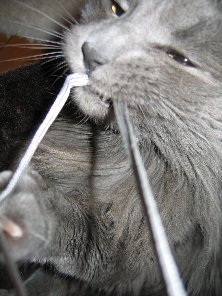 2010-03_JaxBedroom_020