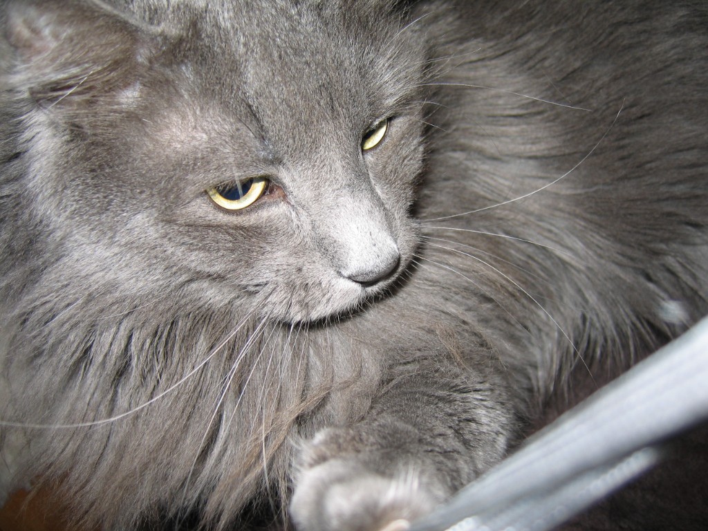 2010-03_JaxBedroom_022