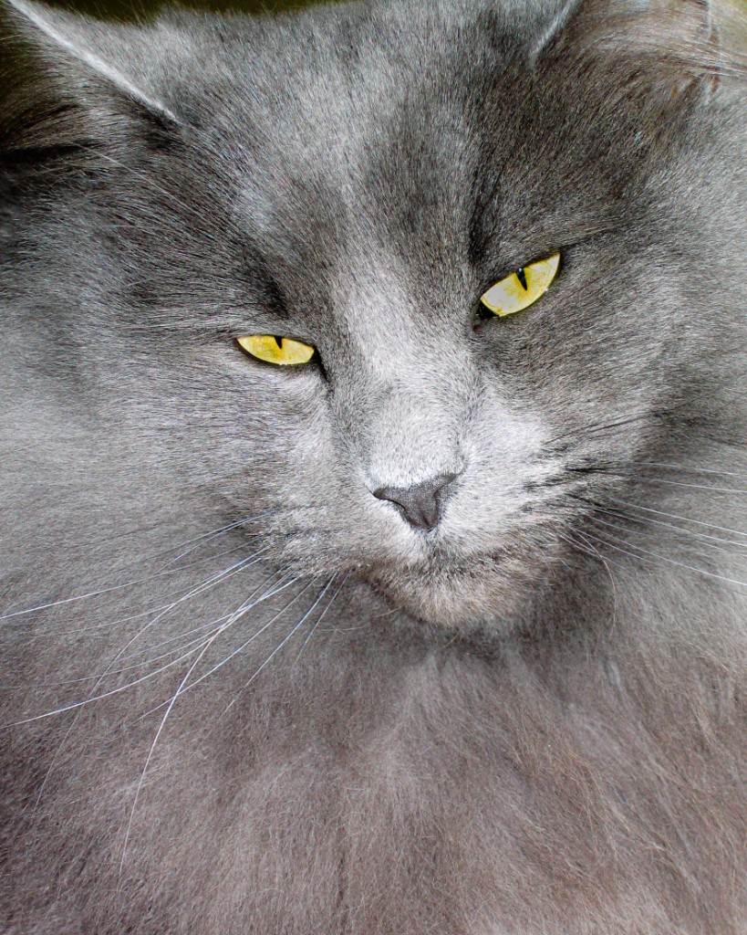 2010-12_EmmieWindow_006