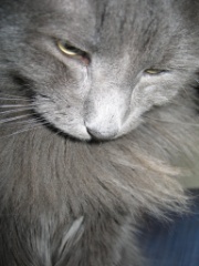 2010-03_JaxBedroom_018