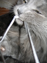 2010-03_JaxBedroom_020