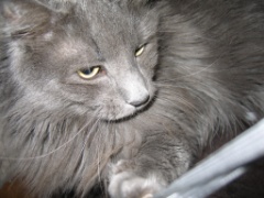 2010-03_JaxBedroom_022