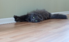 2010-07_EmmieAndToonces_003