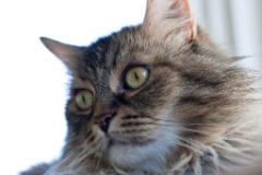 2010-07_EmmieAndToonces_011