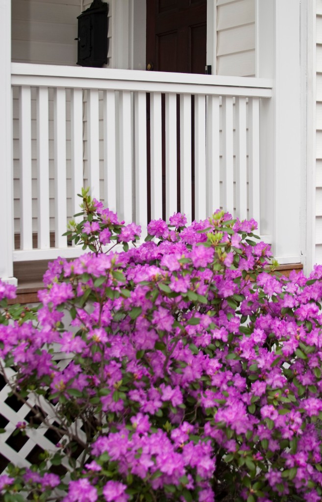 2009-05_Garden2009_026