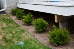 2009-05_Garden2009_005