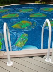2010-08_NewPool_007