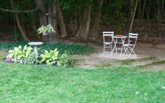 Garden 2010