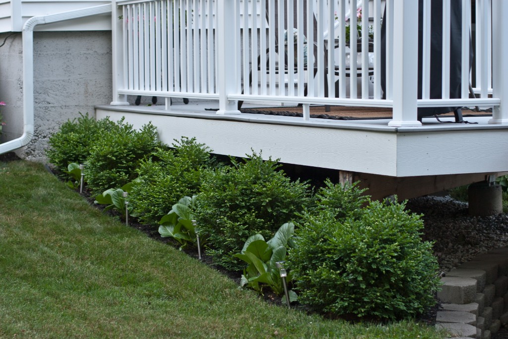 2011-07_Garden_012