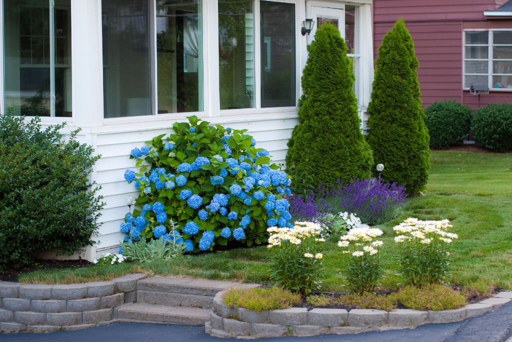 2011-07_Garden_032