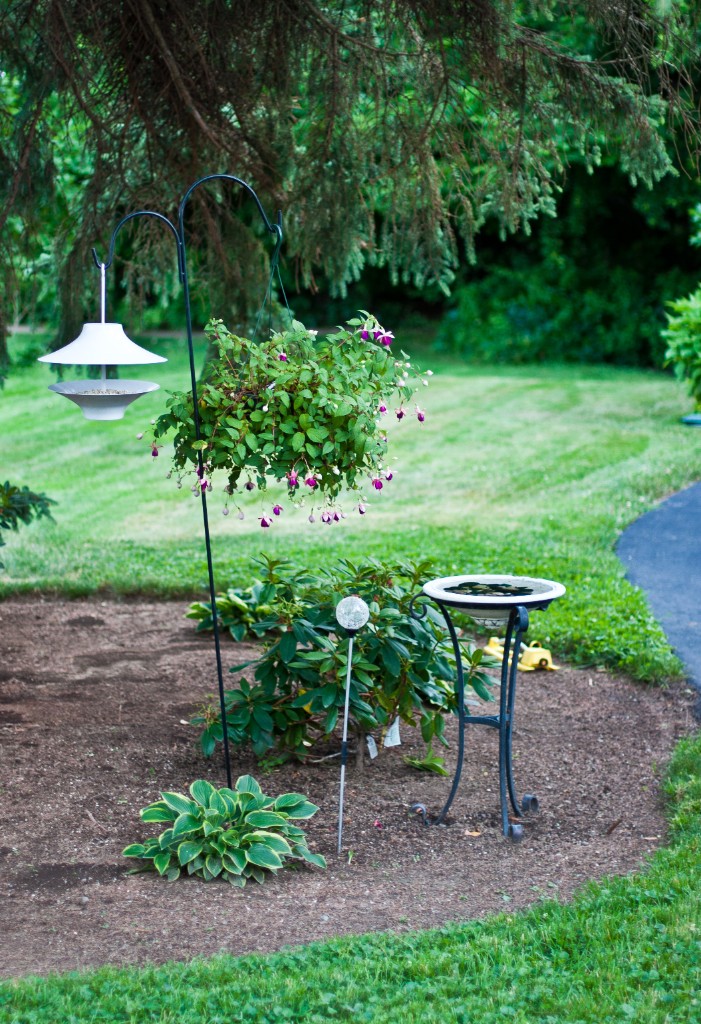 2011-07_Garden_049