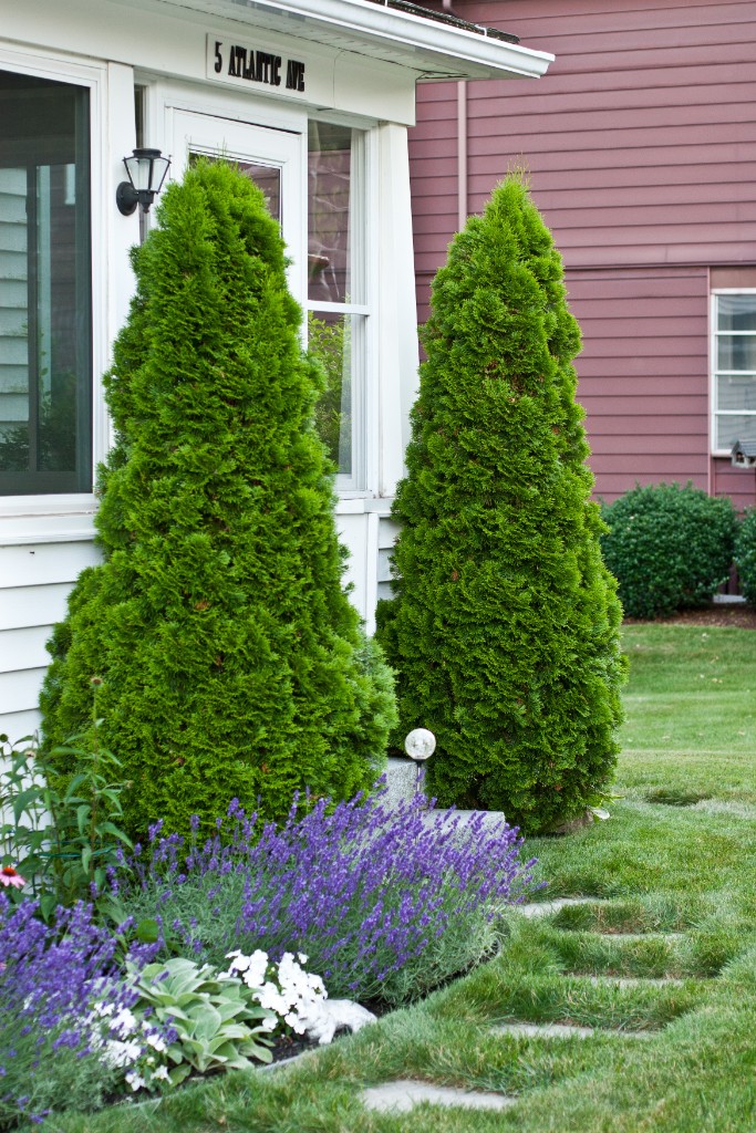 2011-07_Garden_054