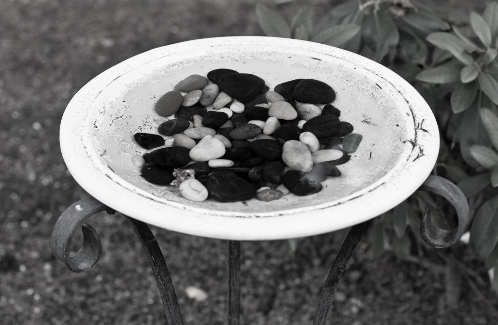 2011-07_Garden_058