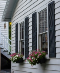 2011-07_Garden_005
