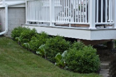 2011-07_Garden_012