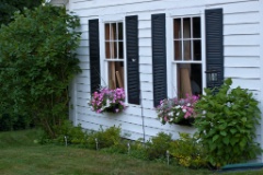 2011-07_Garden_027