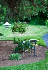 2011-07_Garden_049