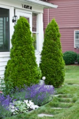 2011-07_Garden_054
