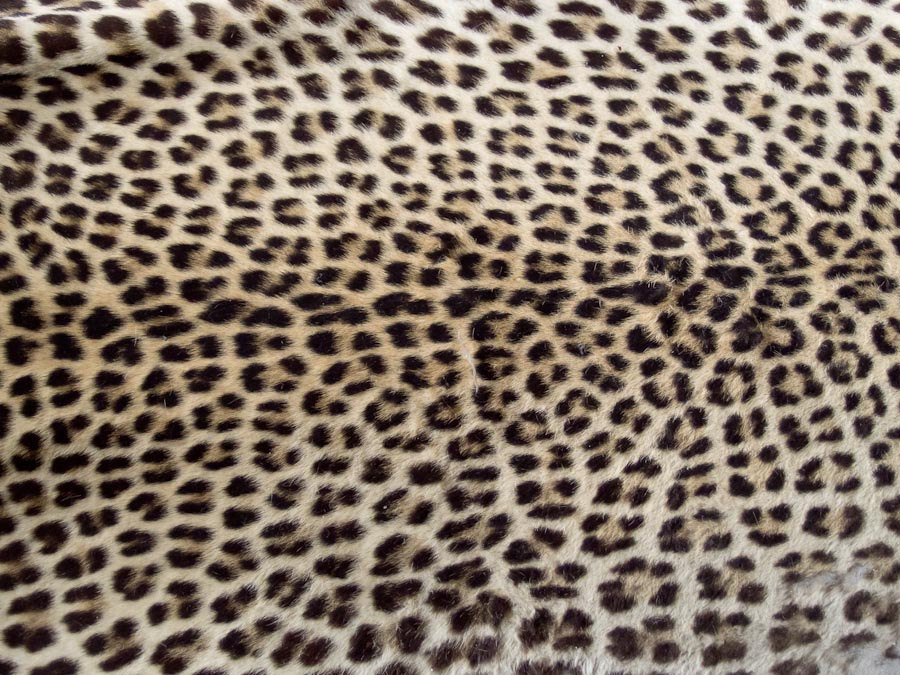Leopard skin