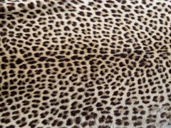Leopard skin