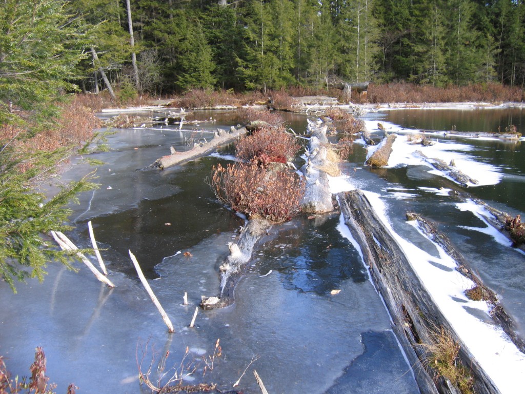 2008-11_SteveWhiteMountains_034
