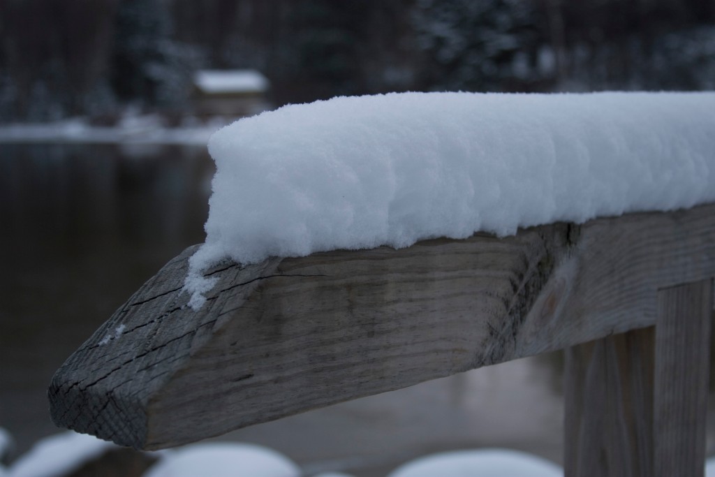 2008-11_WhiteMountains_011