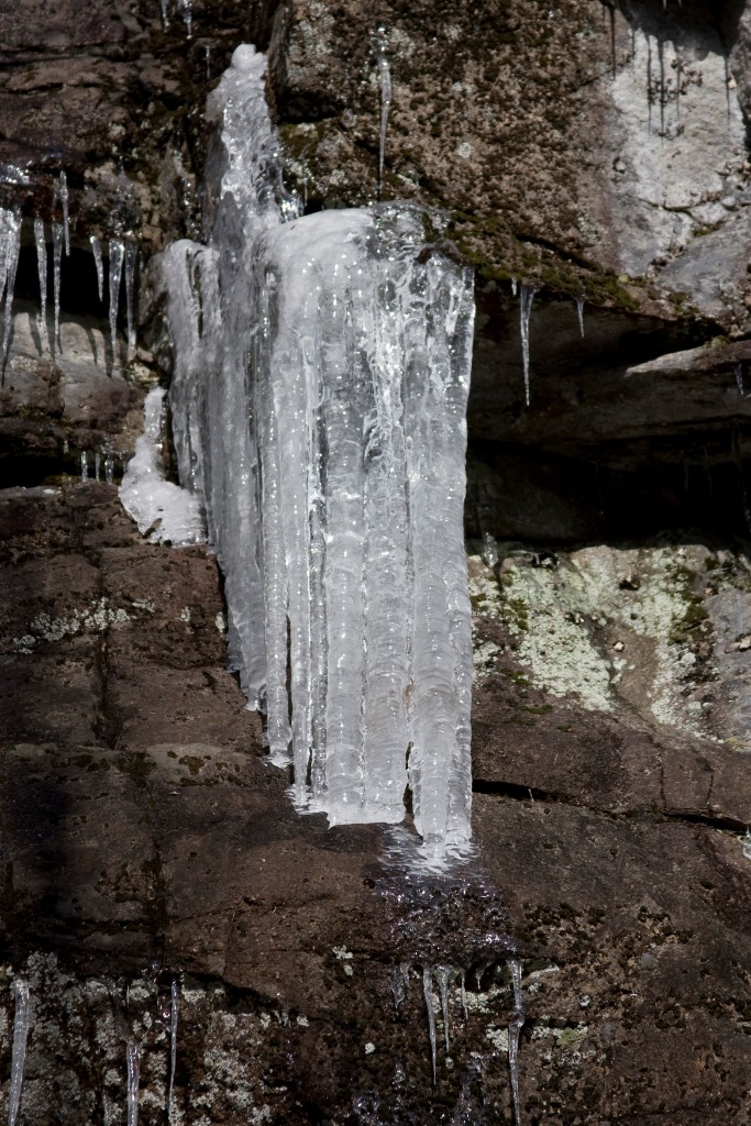 2008-11_WhiteMountains_044