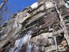 2008-11_SteveWhiteMountains_008