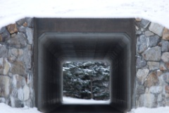 2008-11_WhiteMountains_022