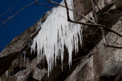 2008-11_WhiteMountains_049