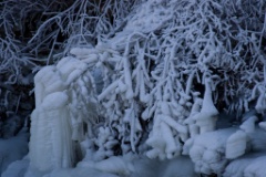 2008-11_WhiteMountains_066