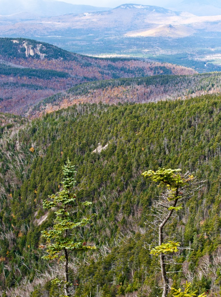 2011-10_Chocorua_069