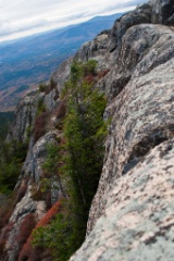 2011-10_Chocorua_052