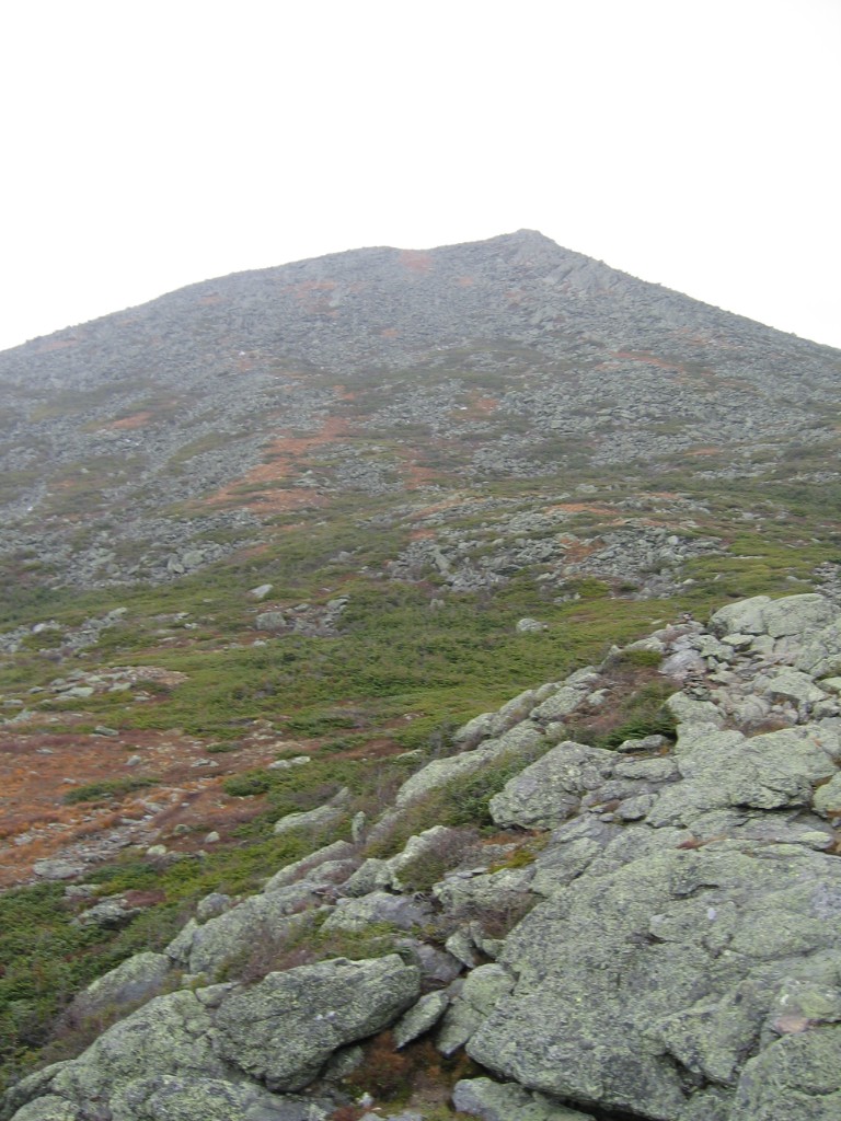 IMG_0176